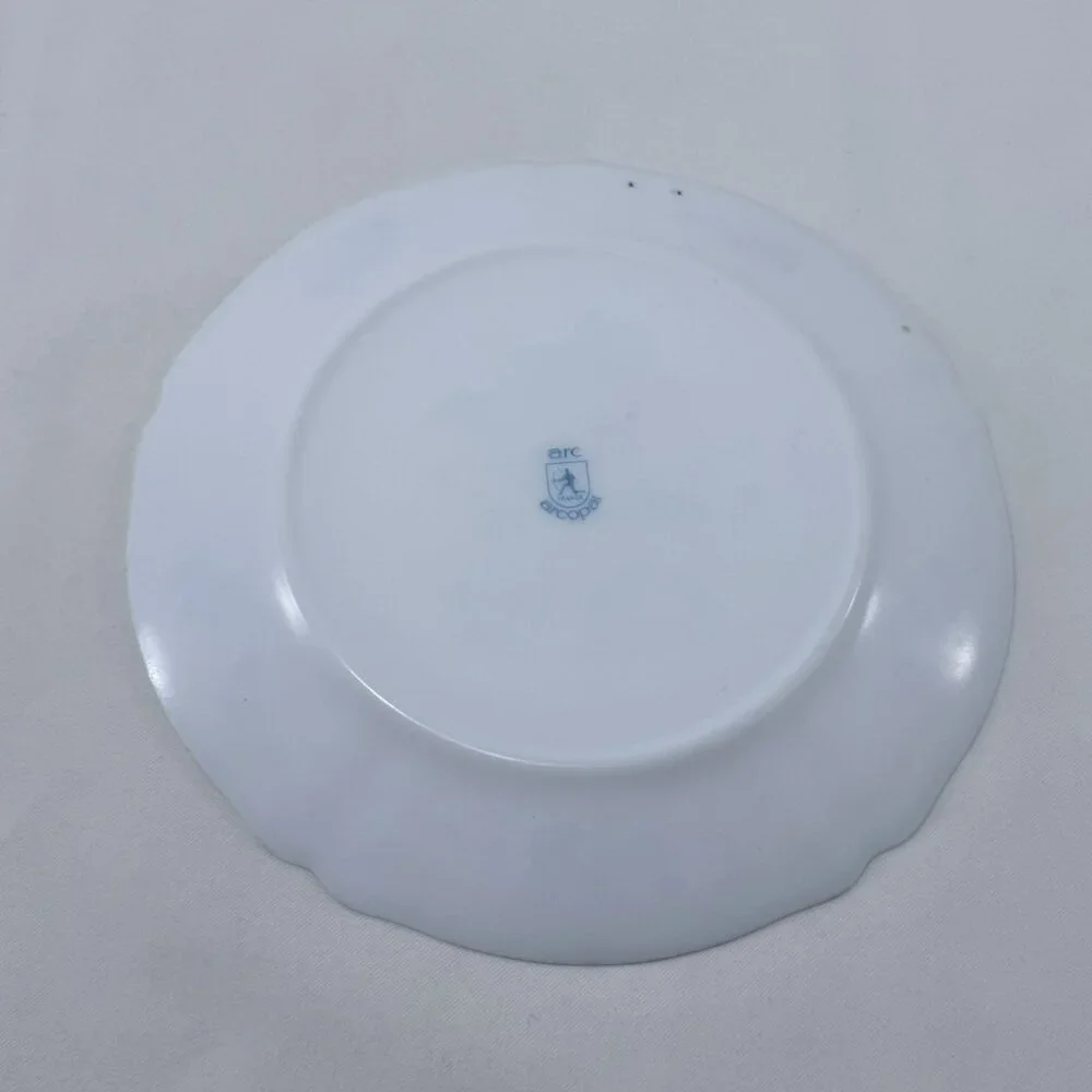 Vintage Arcopal France Provincial Dinner Plate 10” Flower Spring Summer Garden - Picture 2 of 12